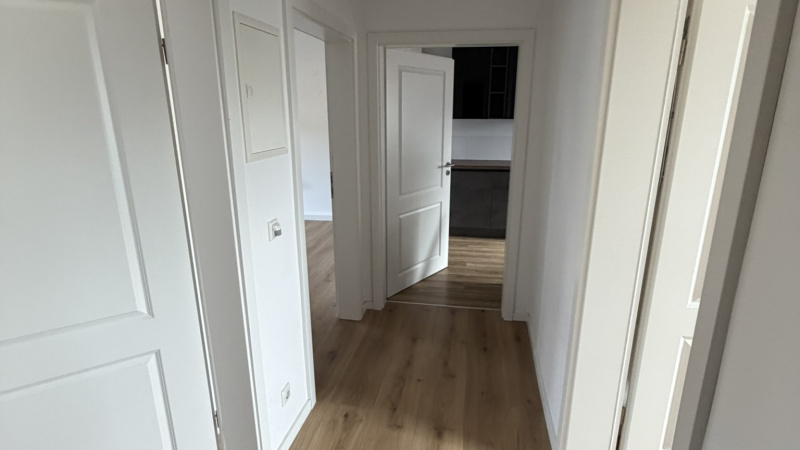 Gerikestraße 40, 2 Rooms Rooms,1 BathroomBathrooms,Wohnung,zu vermieten,Gerikestraße 40,1388